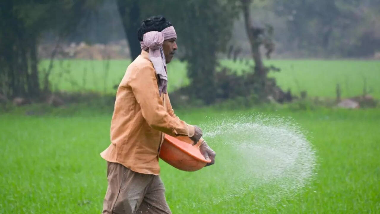लाल सागर संकट से डीएपी का आयात प्रभावित