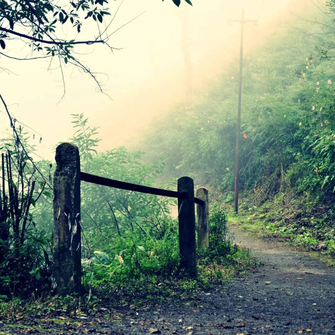 कम खर्चीला