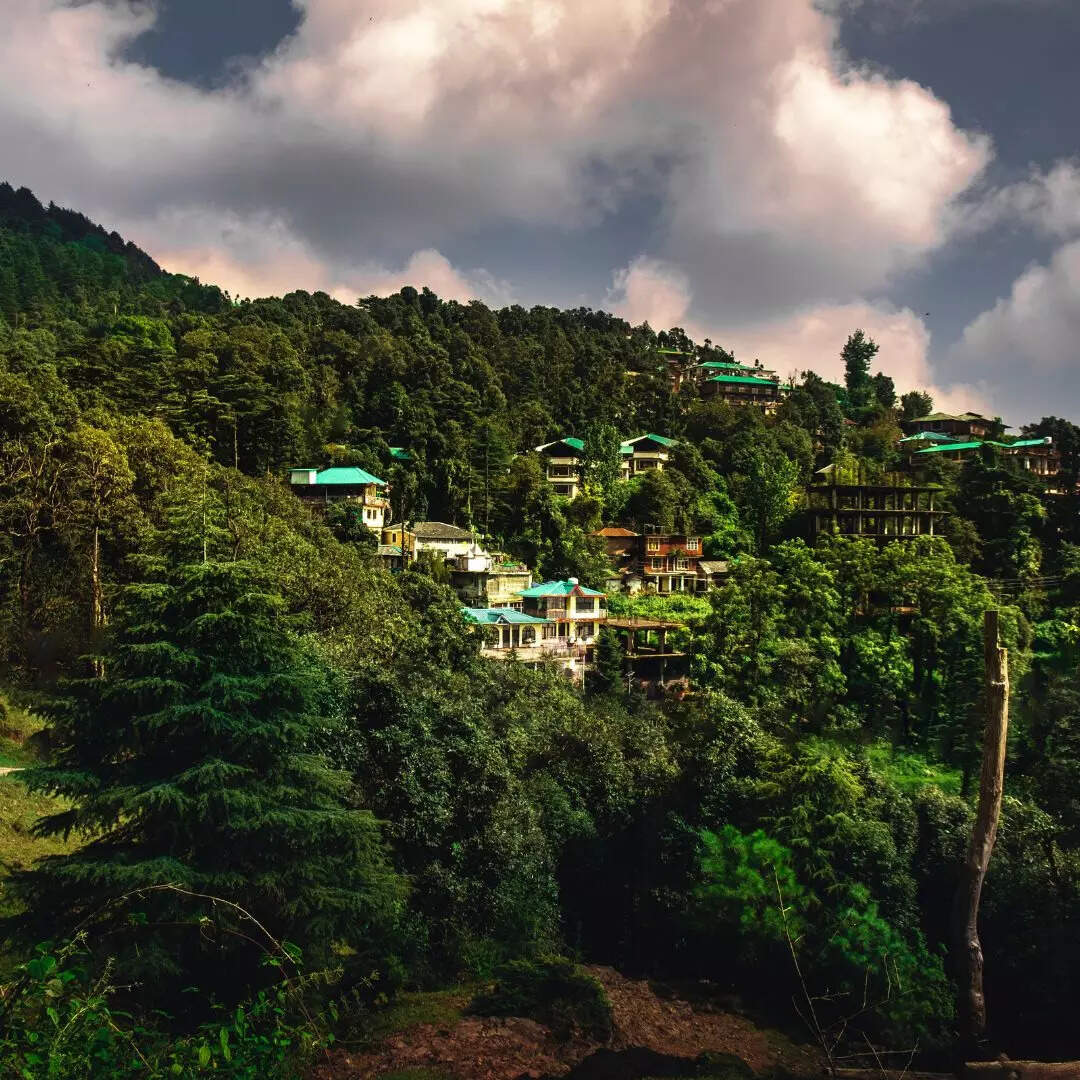 मैक्लोडगंज