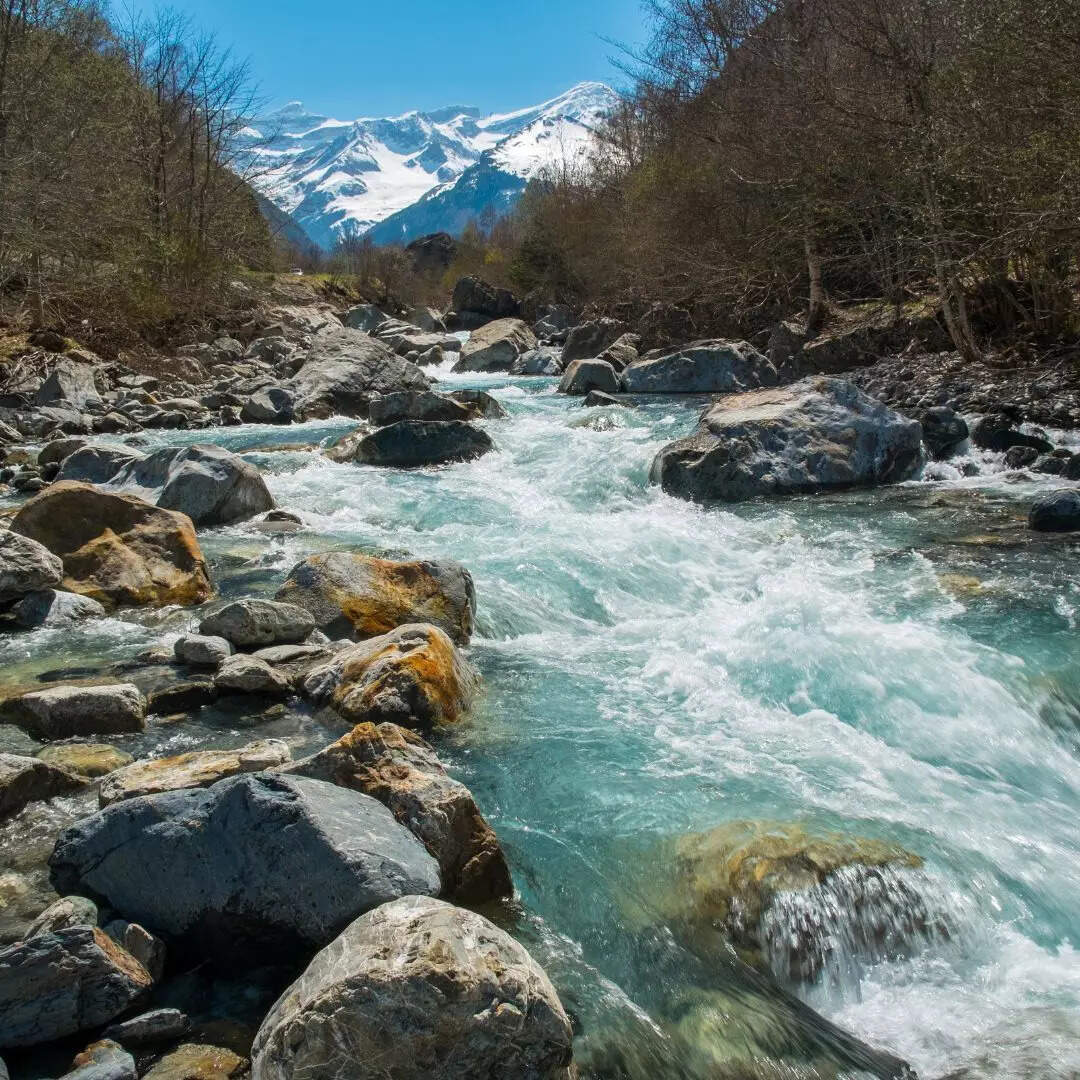 नर्मदा नदी की लंबाई