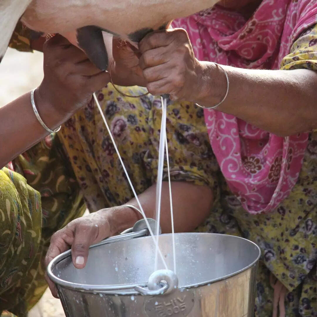 दूध बेचना बेटा बेचने जैसा