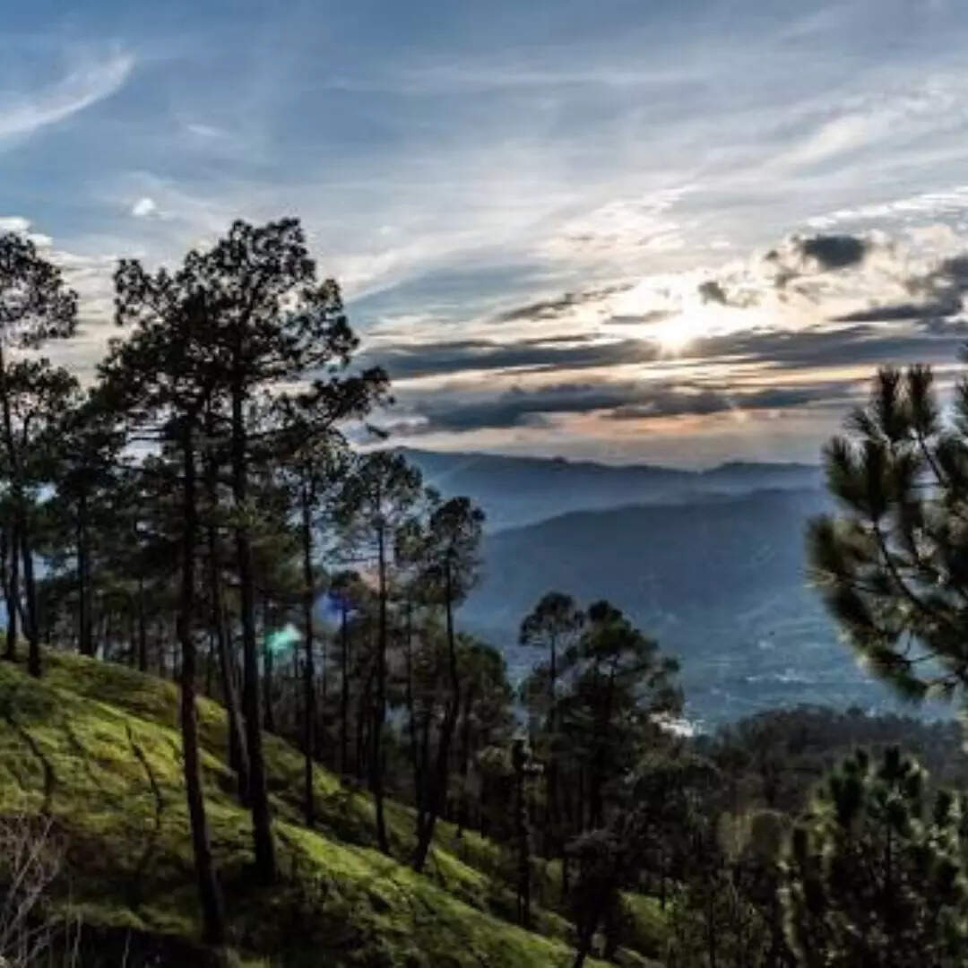 अल्मोड़ा