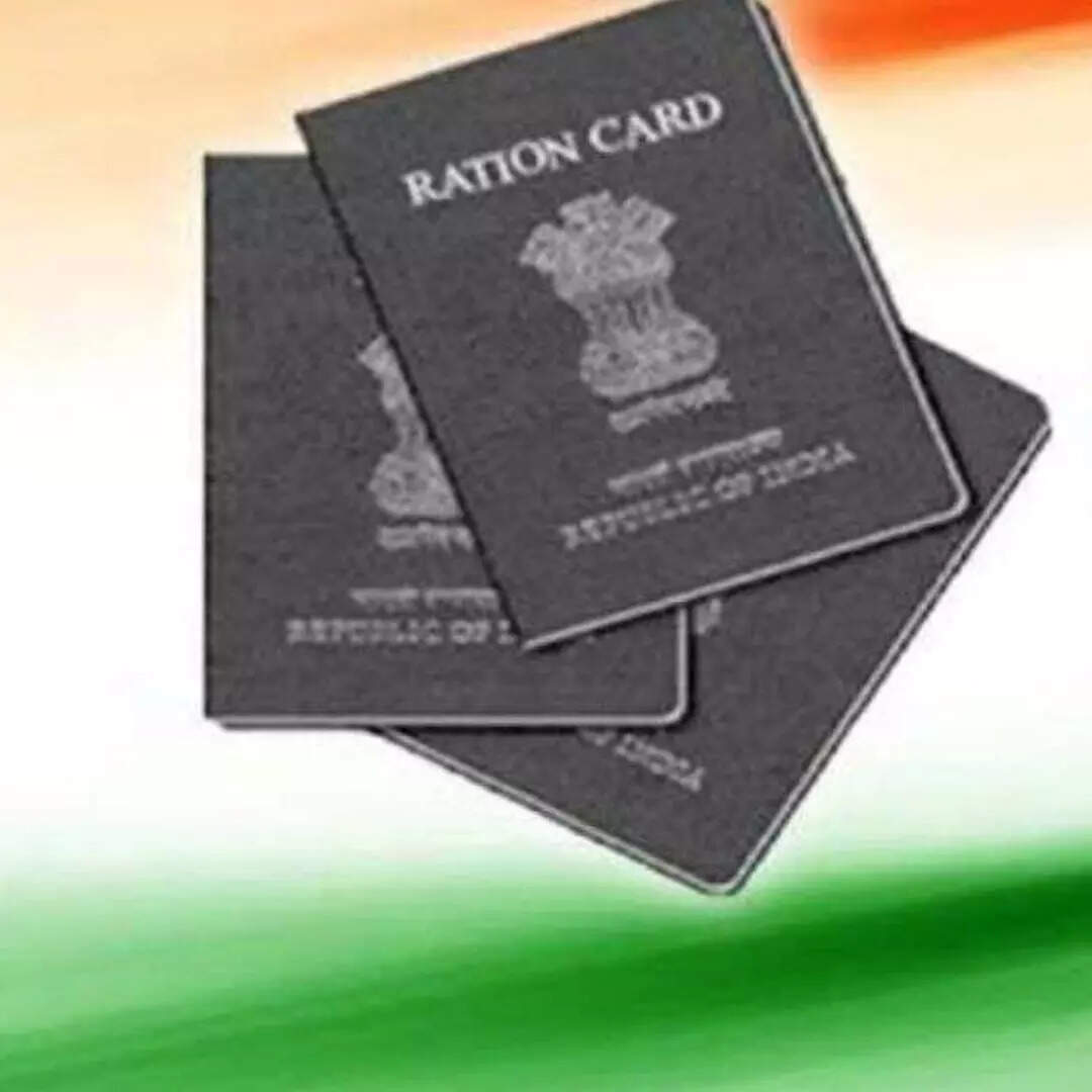 सरकार की कार्यवाही
