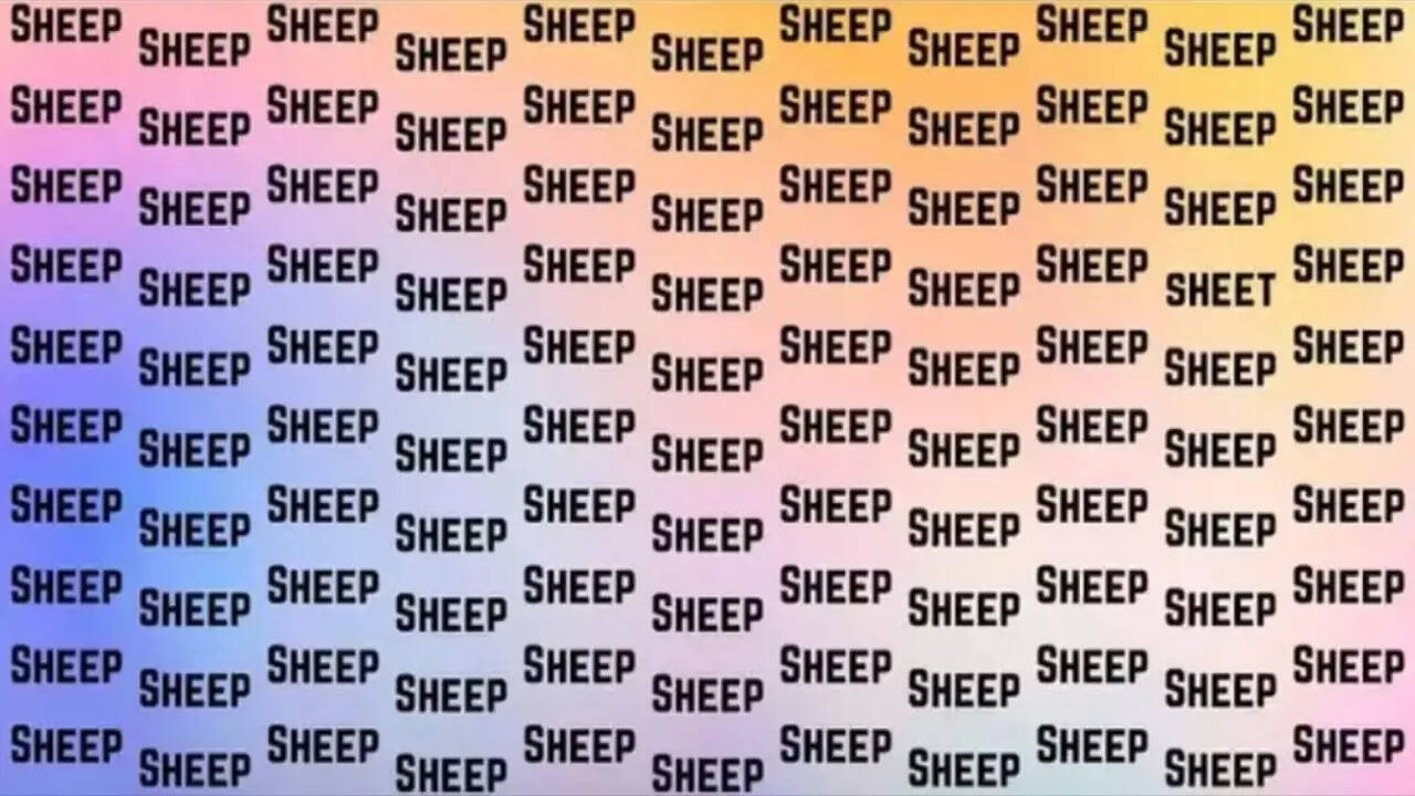 वायरल तस्वीर में आपको हर जगह अंग्रेजी का SHEEP शब्द लिखा हुआ नजर आ रहा होगा। मगर चौंकेंगे कि इसी SHEEP की भीड़ में एक जगह SHEET भी छिपा हुआ है।