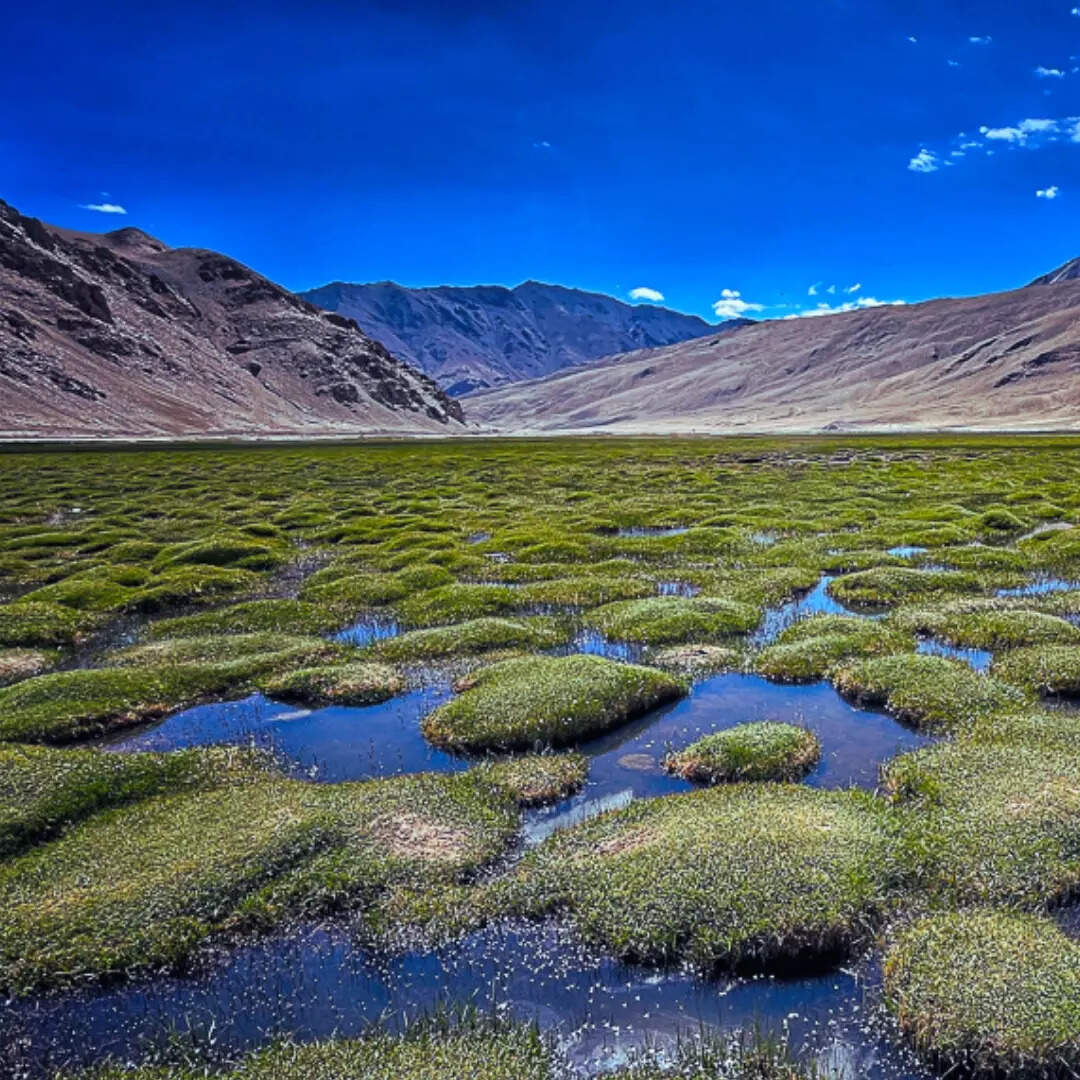 प्राकृतिक सुंदरता