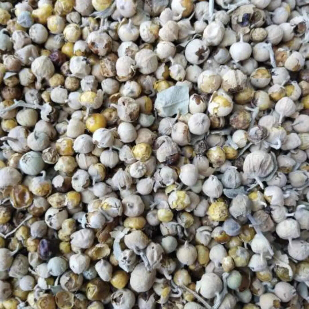 डायबिटीज रोगियों के लिए वरदान