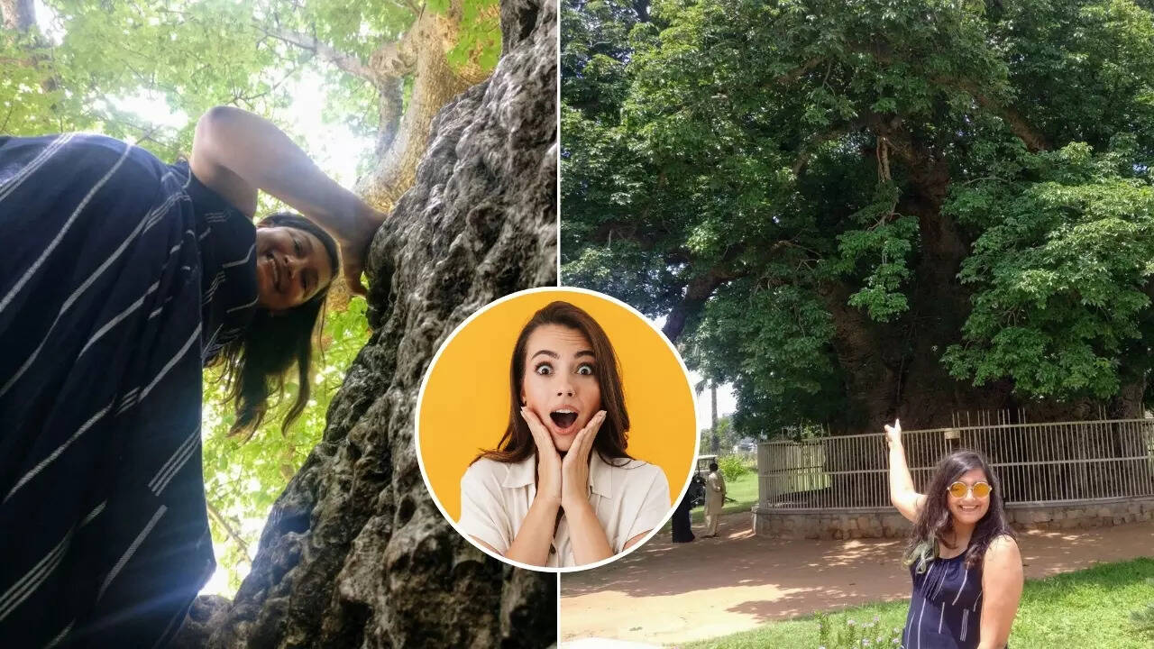 450 साल पुराना पेड़