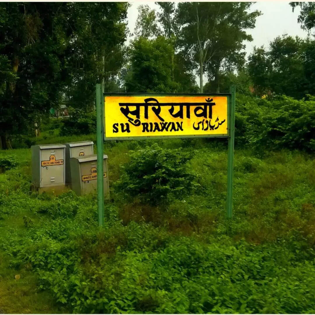प्रकृति से जुड़ाव