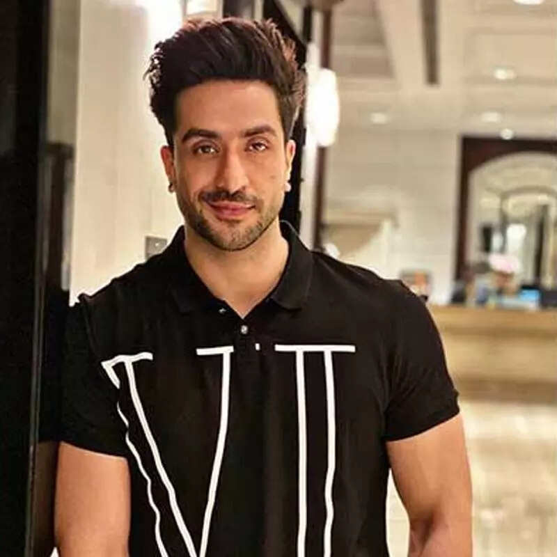 अली गोनी (Aly Goni)