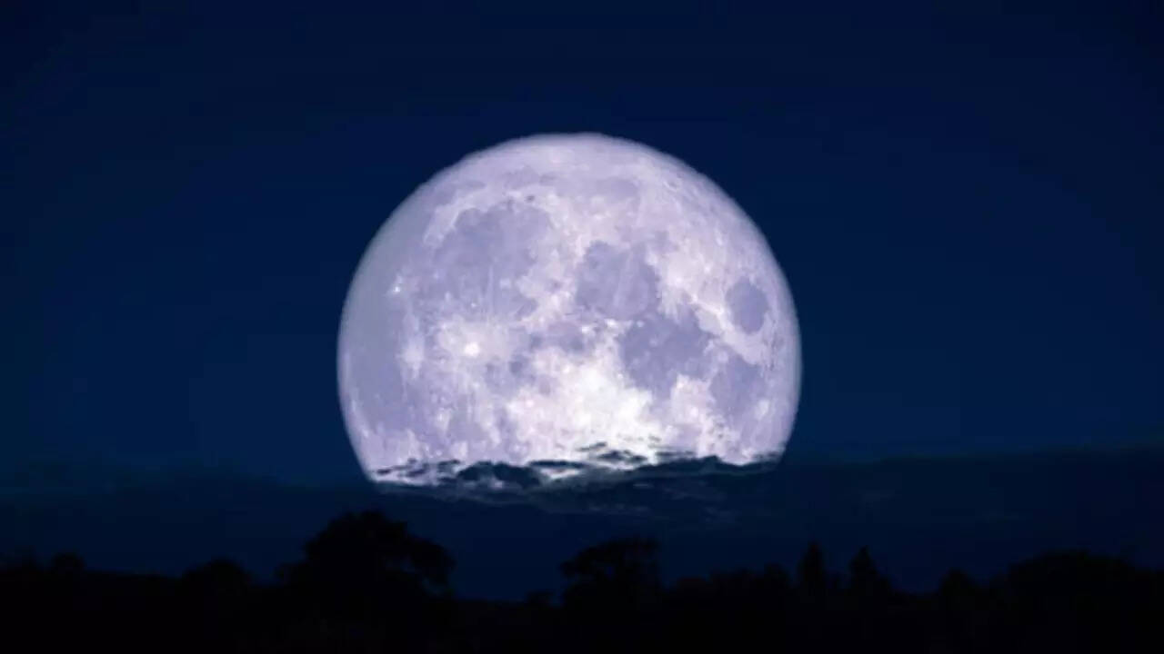 कब होगा Wolf Moon का दीदार