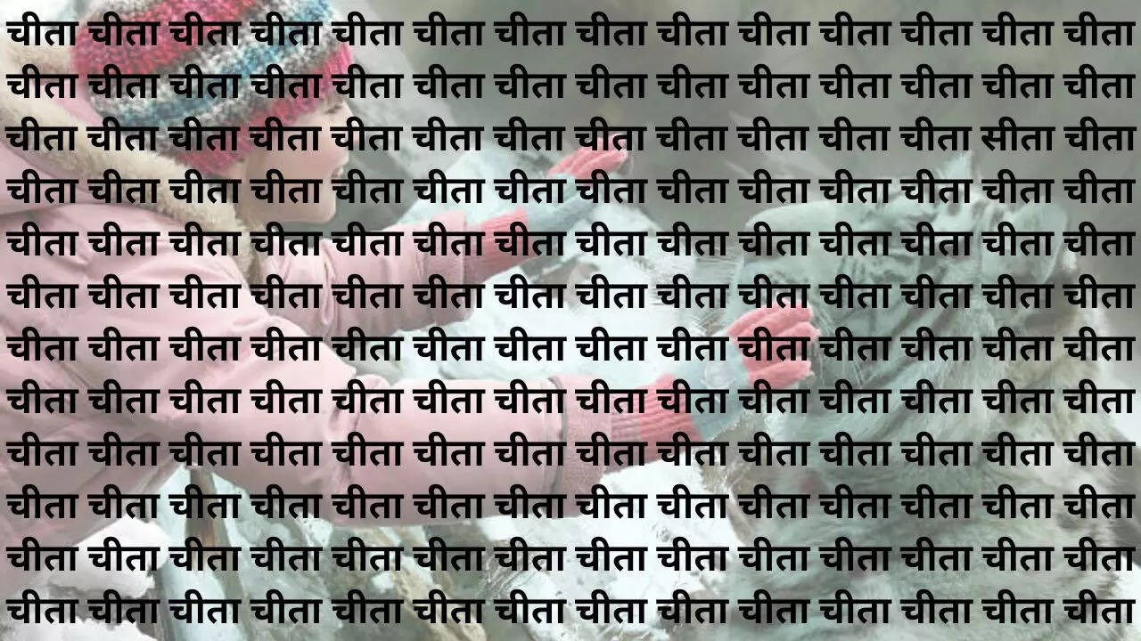 तस्वीर में दिख रहा खूब सारा चीता 
