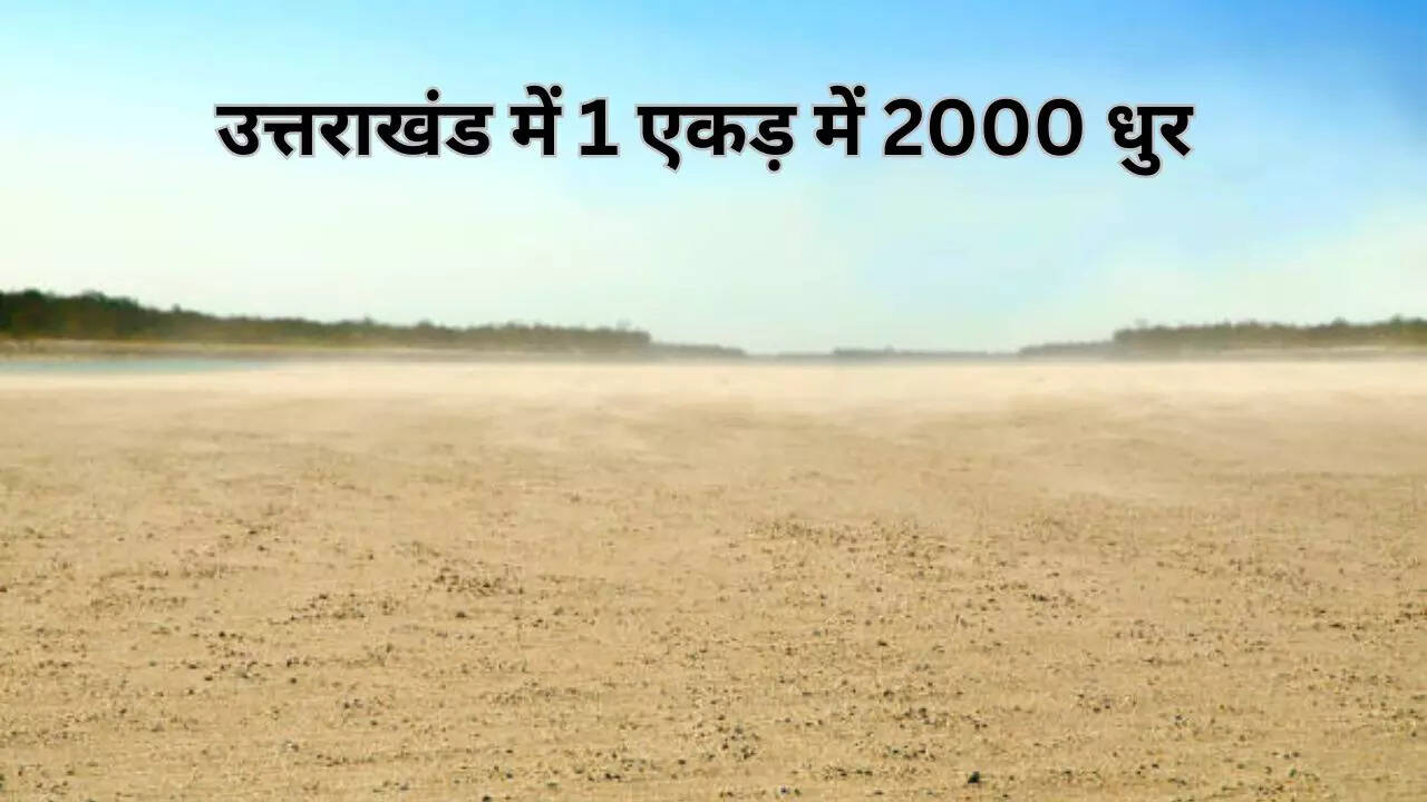 1 एकड़ में 2000 धुर