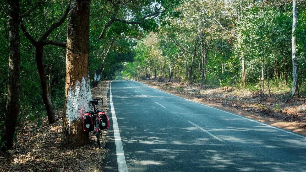 गोवा की लंबी सर्पीली सड़कें