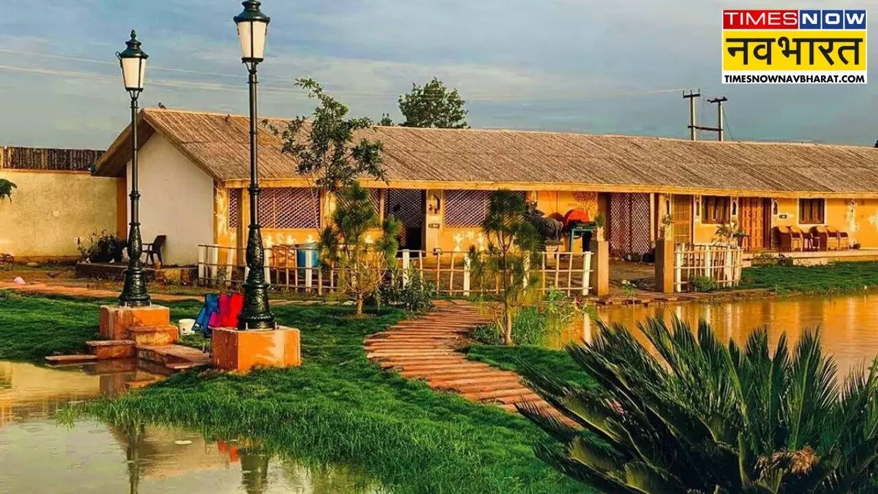 लाइब्रेरी और स्टूडियो