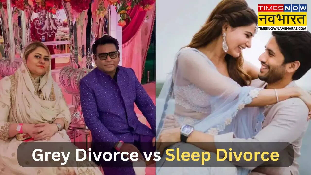 ग्रे डिवोर्स बनाम स्लीप डिवोर्स