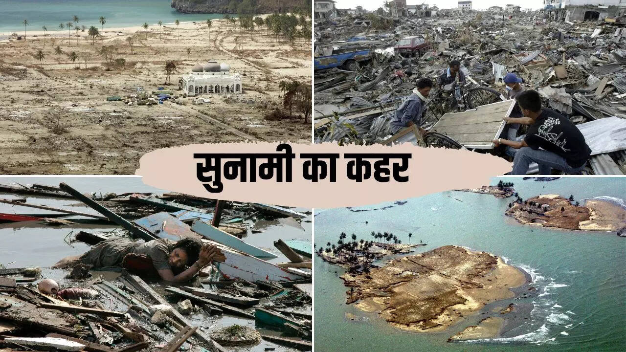 सुनामी ने मचाई भीषण तबाही