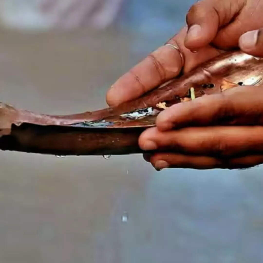 तर्पण और श्राद्ध