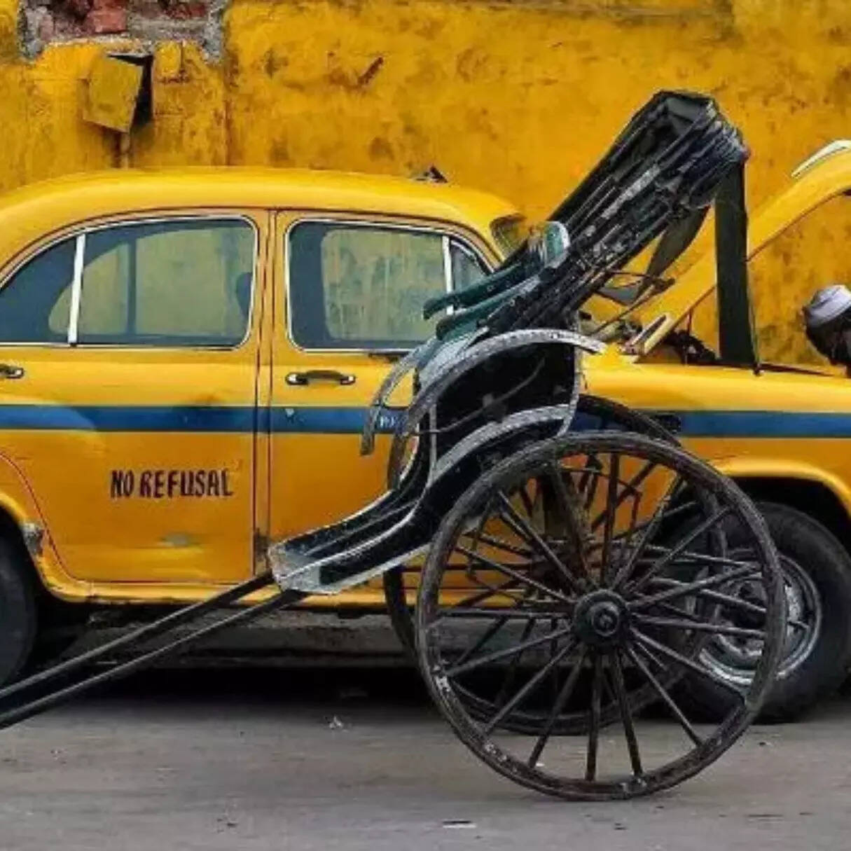 सामाजिक महत्व