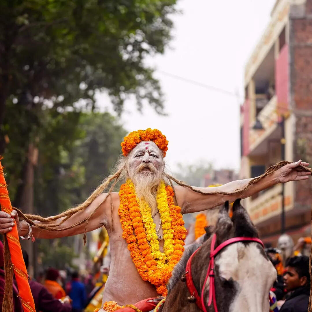 शामिल किए गए गंतव्य और दौरे