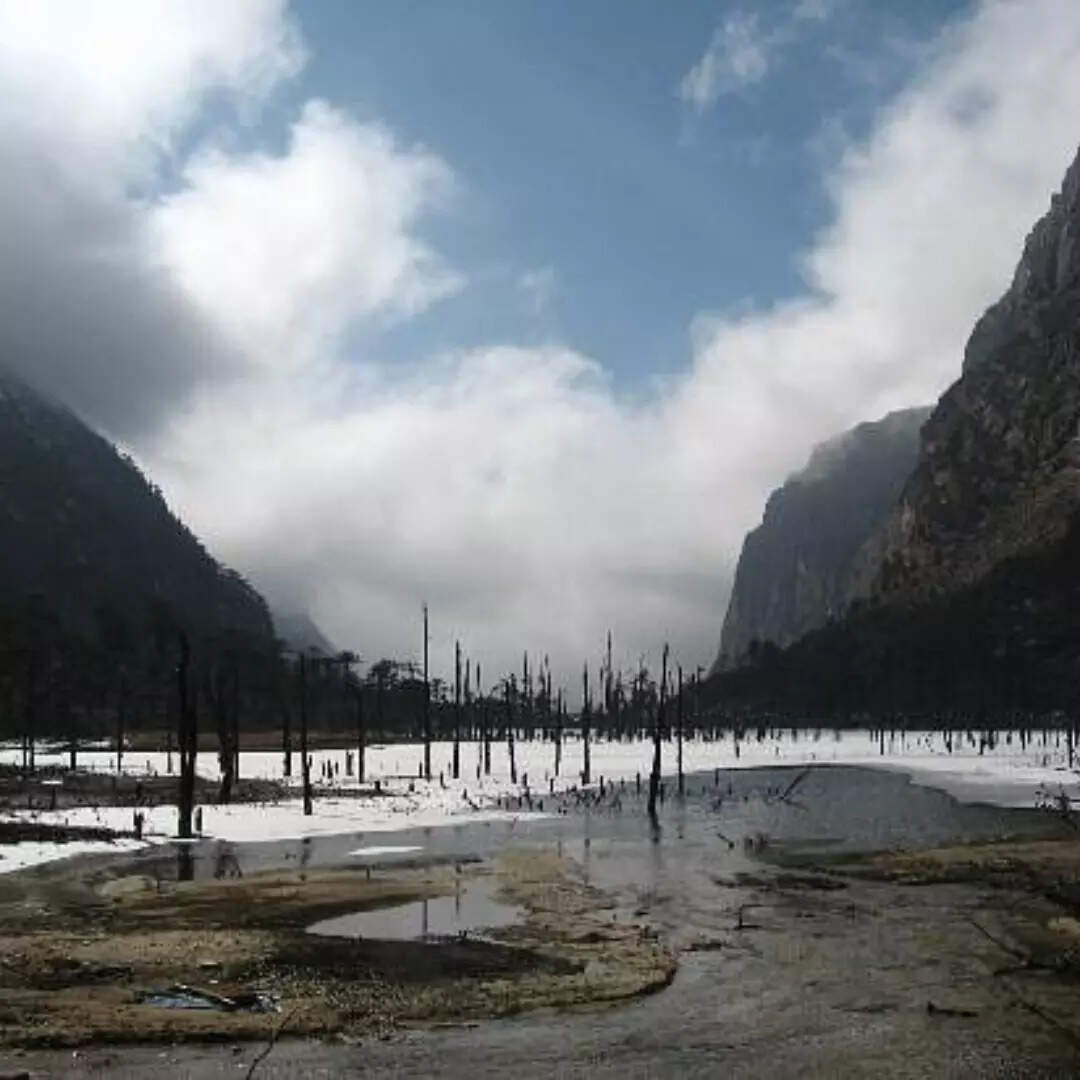 विदेशी लोगों को नहीं है परमिशन