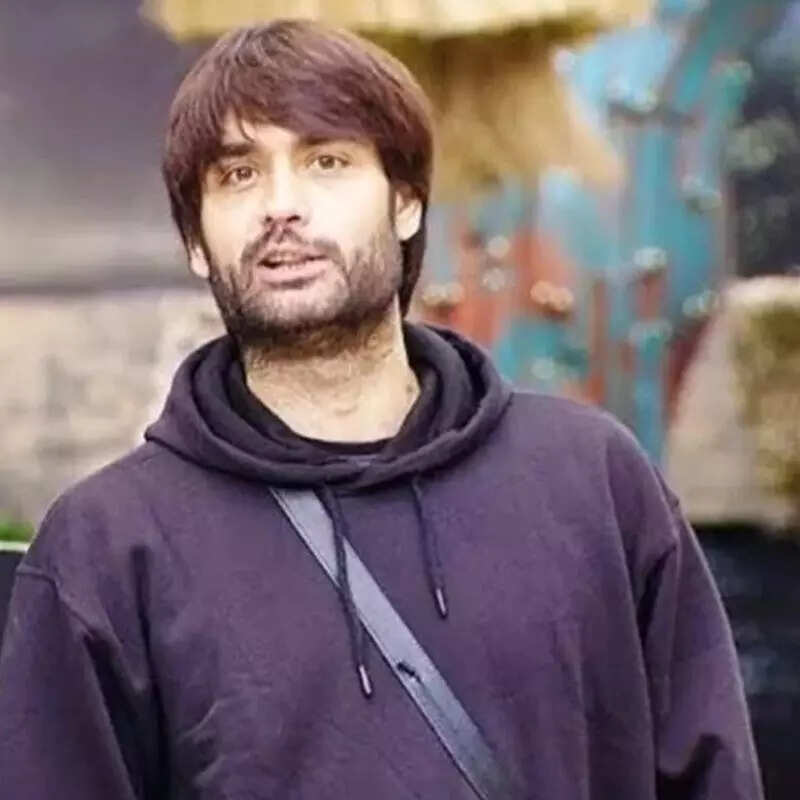 विवियन डीसेना (Vivian Dsena)