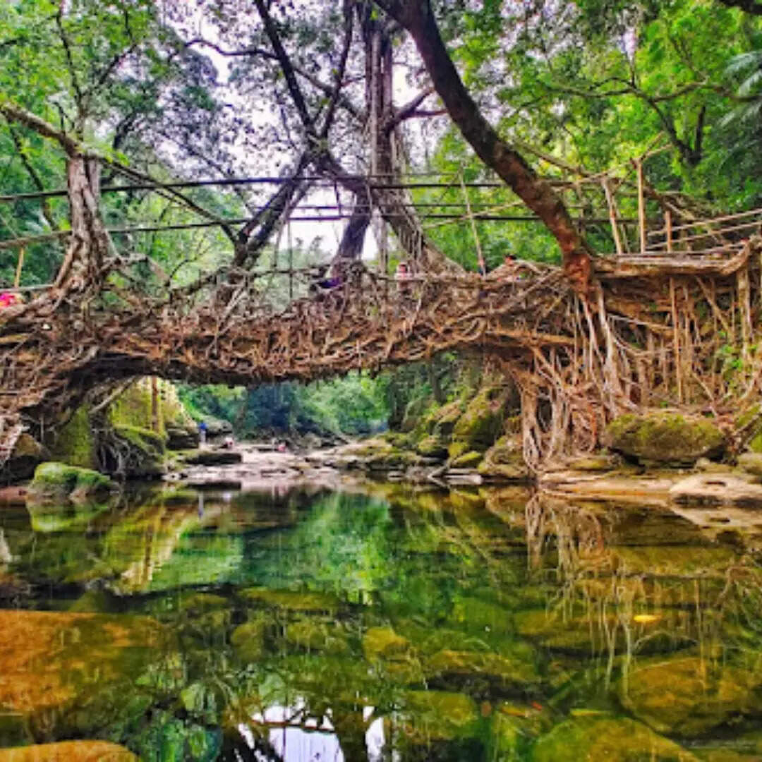 मावलिन्नॉग