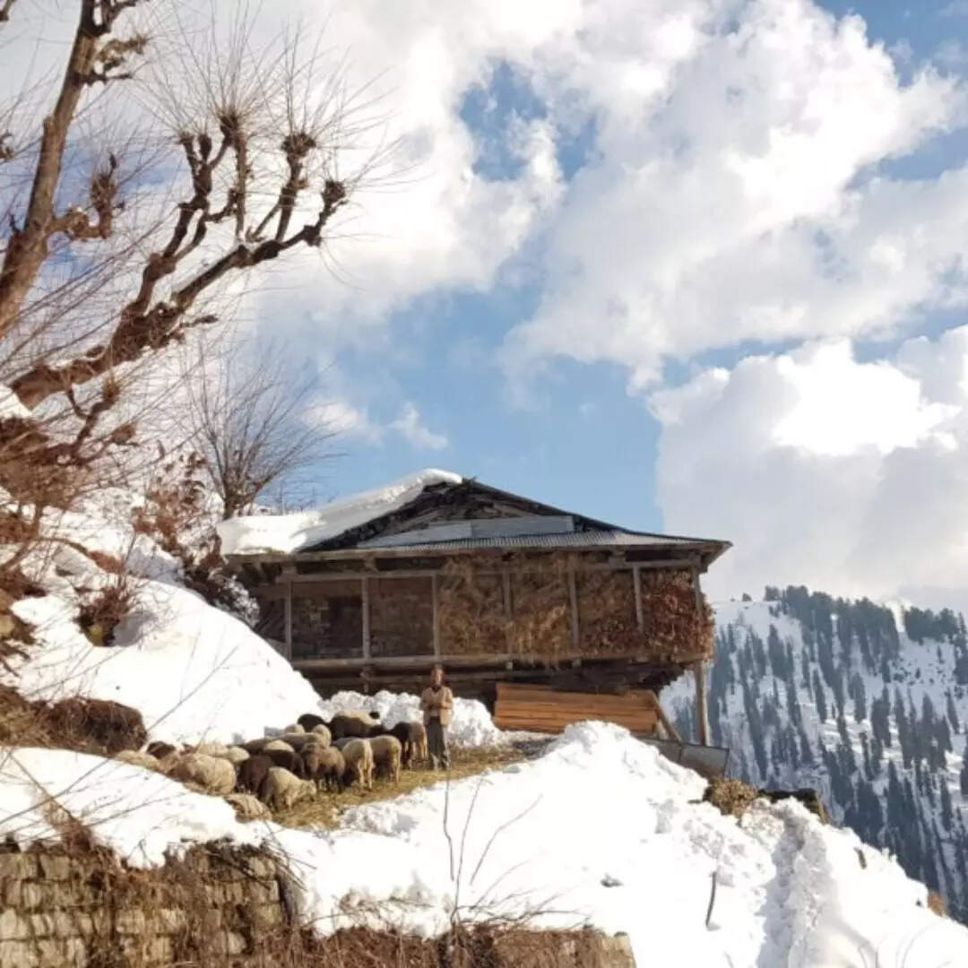 बर्फबारी का अनुभव
