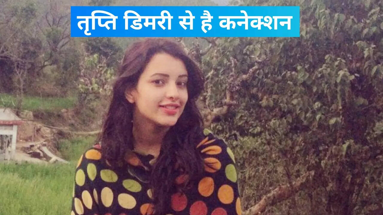 लैला मजनू