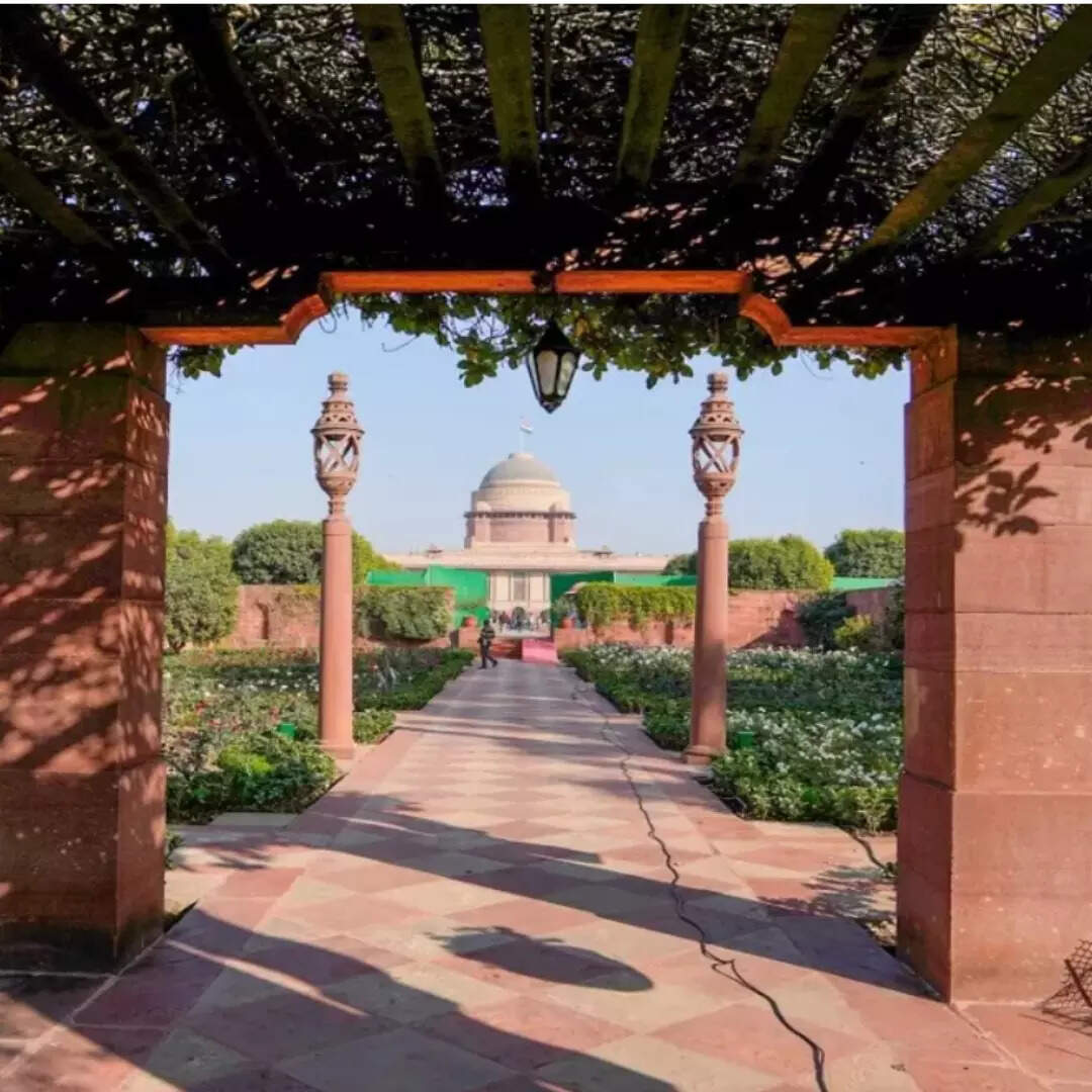 स्पेशल दिन