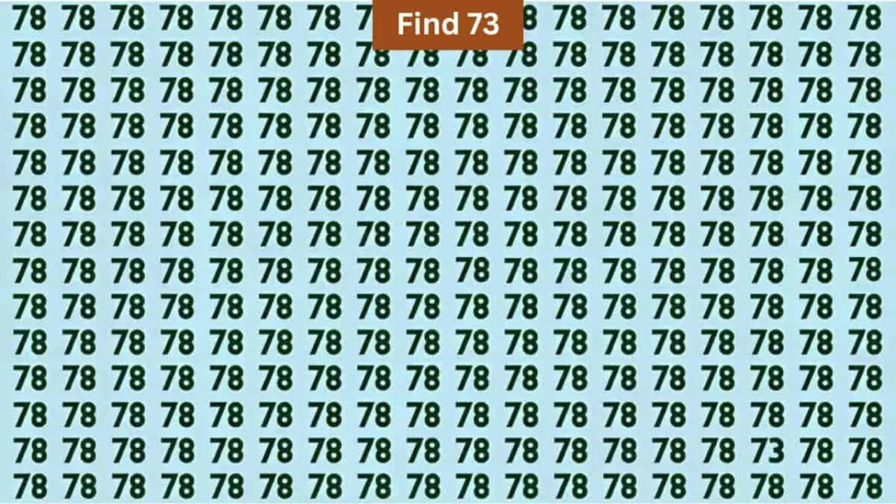 हालांकि 78 की इस भीड़ में आपको 73 ढूंढ़कर दिखाना है।