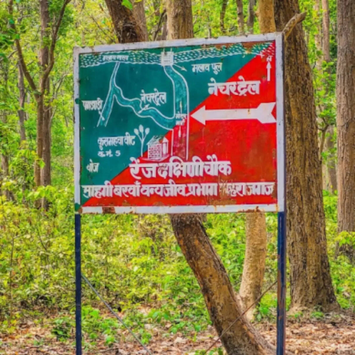 समृद्ध वनस्पति से भरा इलाका