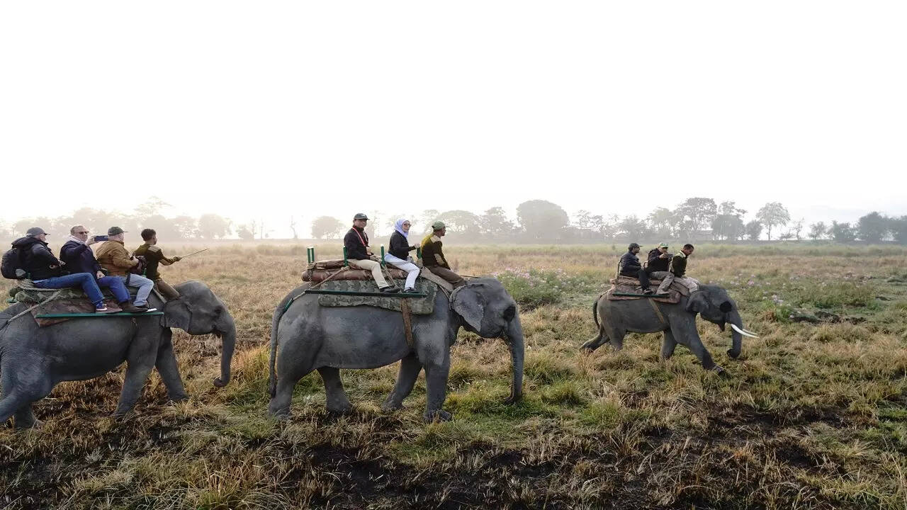 हमारे पास प्राकृतिक और रचनात्मक दोनों तरह का पर्यटन