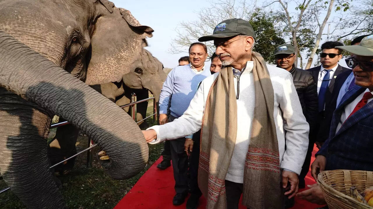 तीन लाख से अधिक पर्यटक काजीरंगा आए