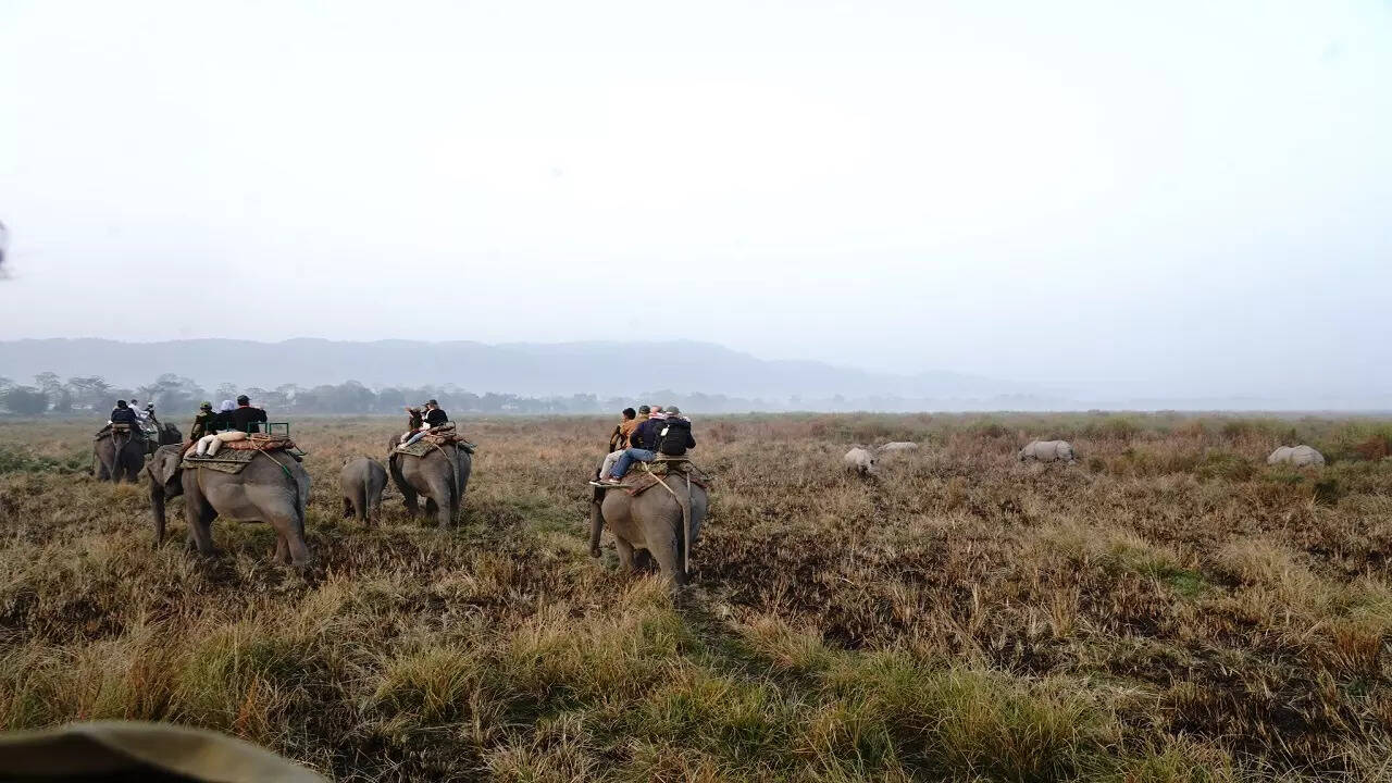 हमने गैंडे भैंसे हिरणों की विभिन्न प्रजातियों को देखा