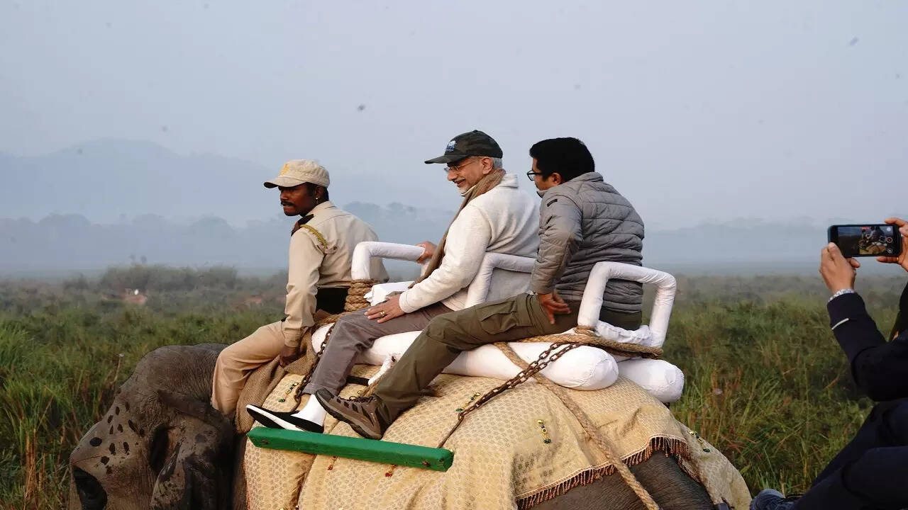 जीप सफारी का भी आनंद लिया