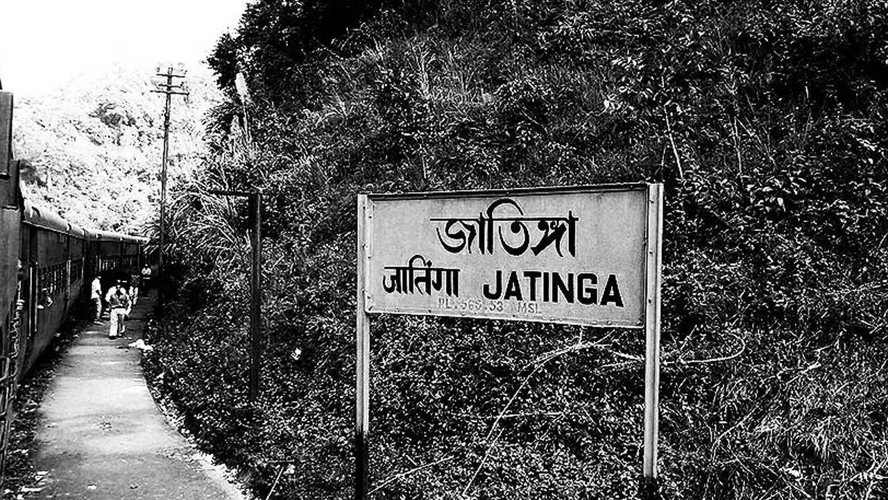 कहां हैं जटिंगा गांव