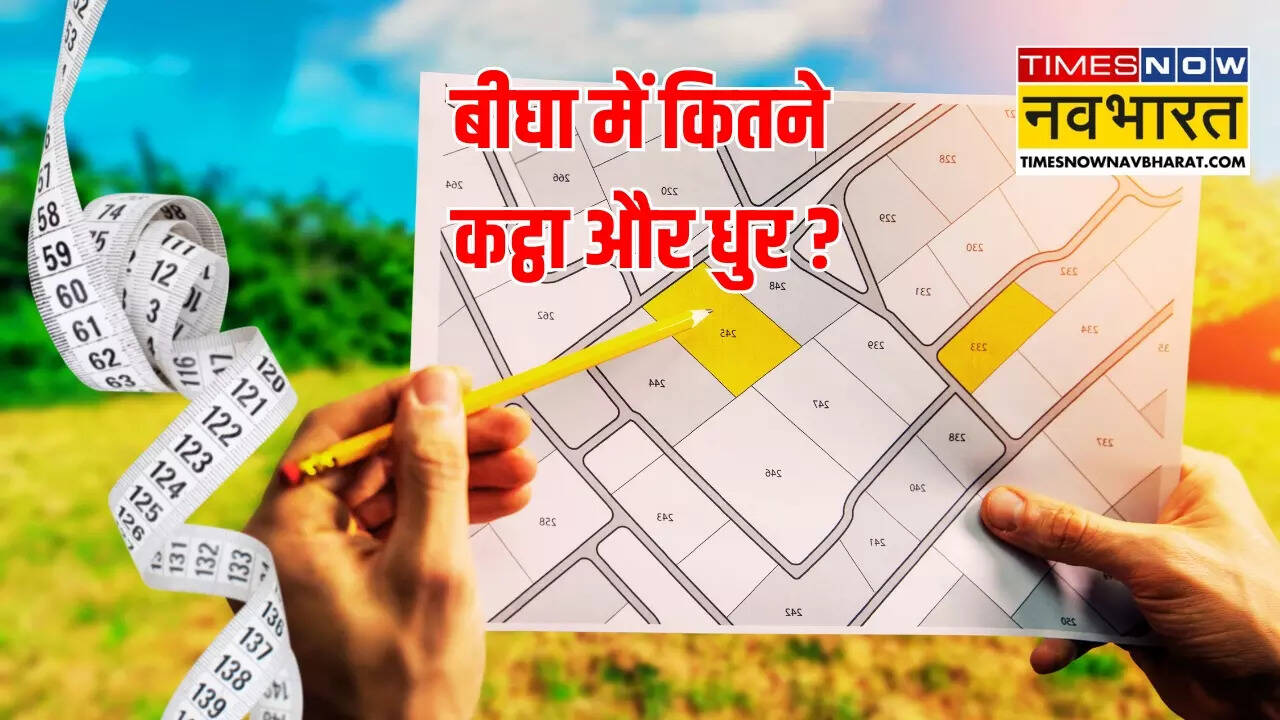 बीघा कट्ठा और धुर का संबंध