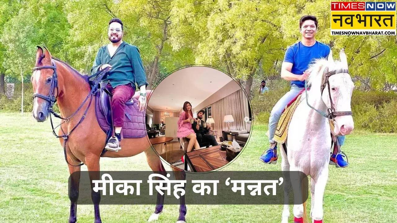 मीका सिंह का नया घर