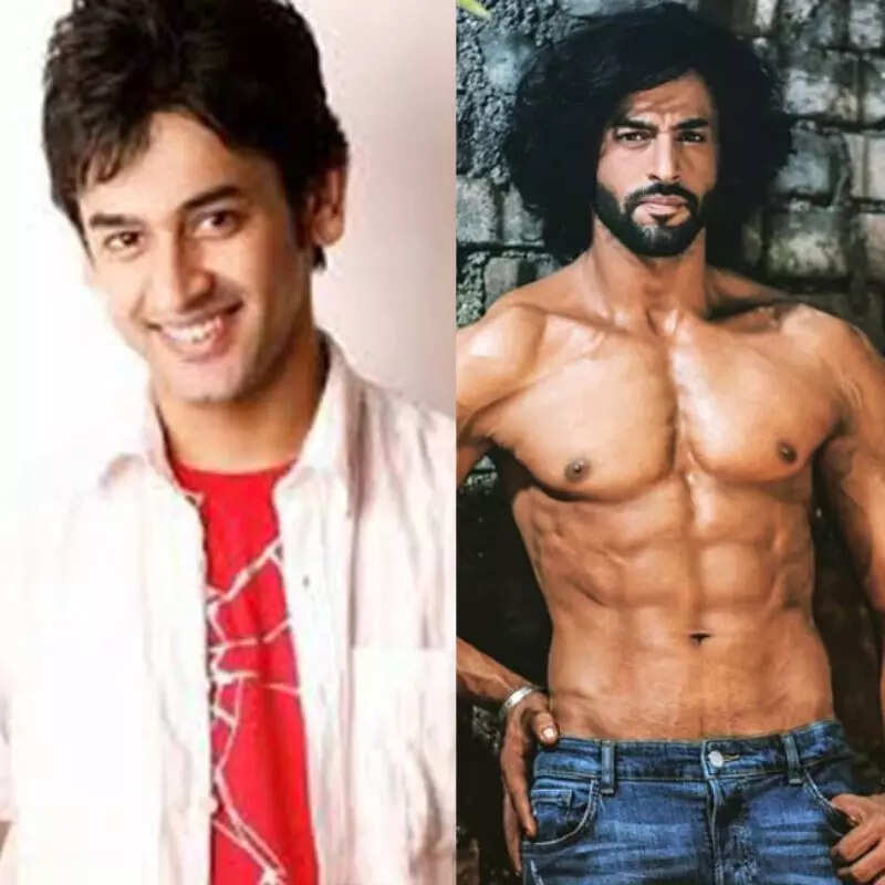 शशांक व्यास (Shashank Vyas)