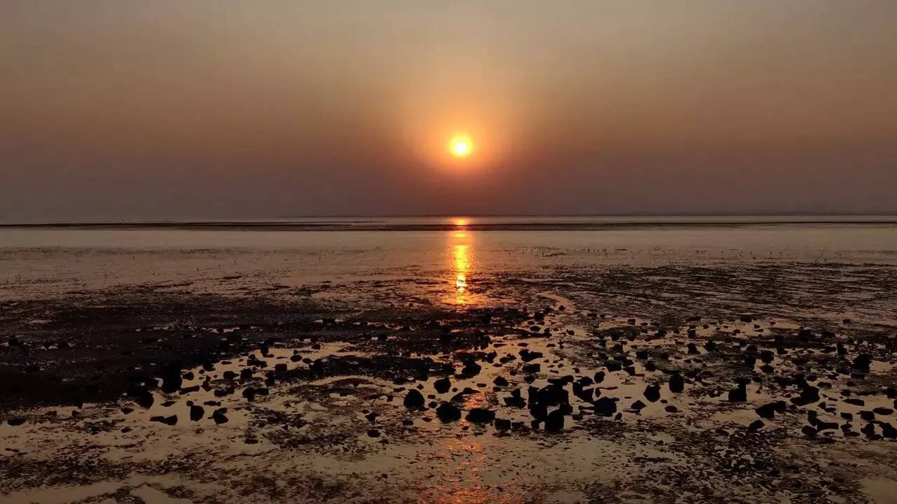 क्यों डरावना है यह बीच