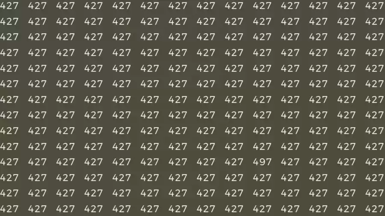 इस फोटो में आपको 427 की भीड़ में 497 नंबर ढूंढ़कर दिखाना है।
