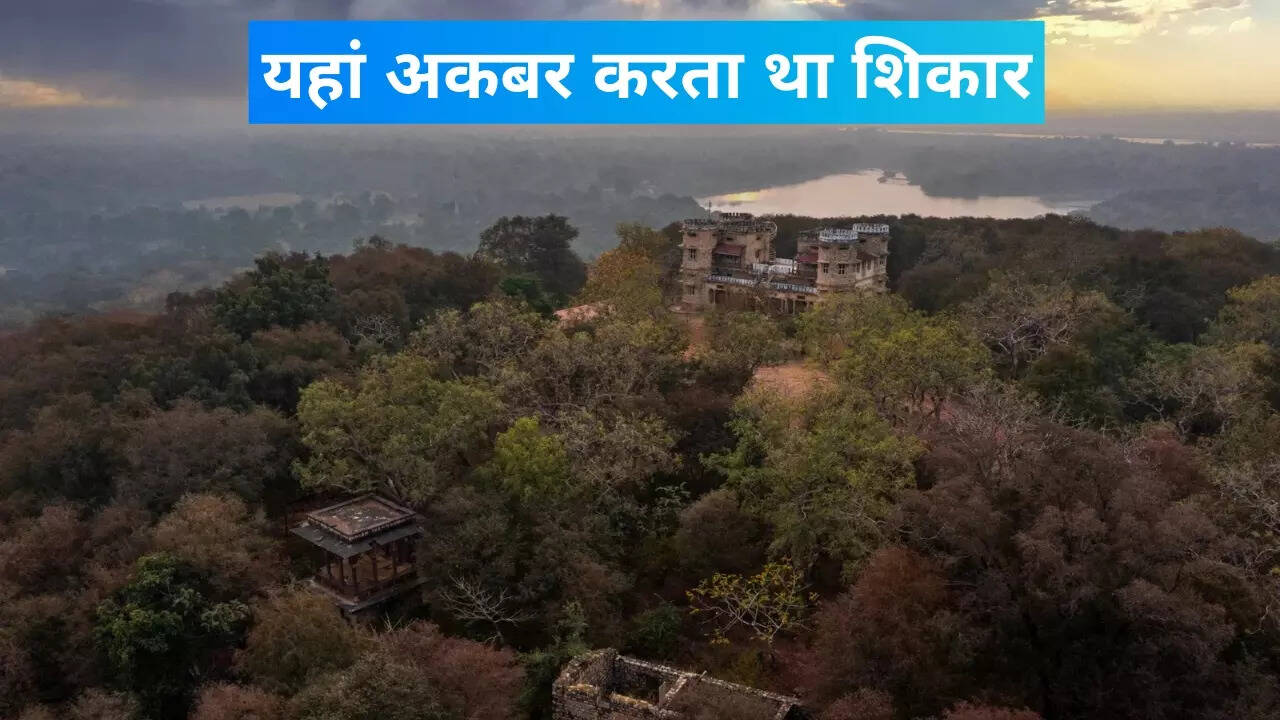 माधव राष्ट्रीय उद्यान