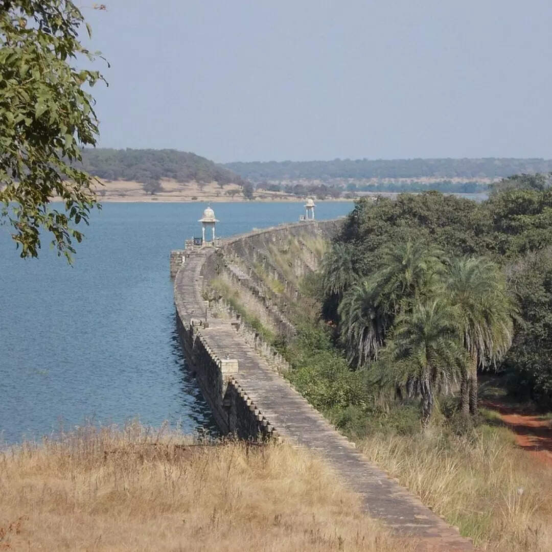 सफारी और पर्यटन