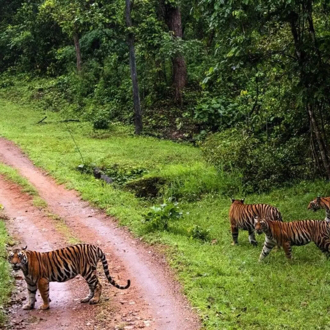 शिकारगाह के रुप में होता था इस्तेमाल