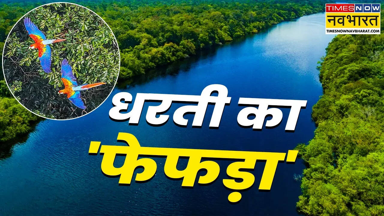 अमेजन वर्षावन से कितना ऑक्सीजन