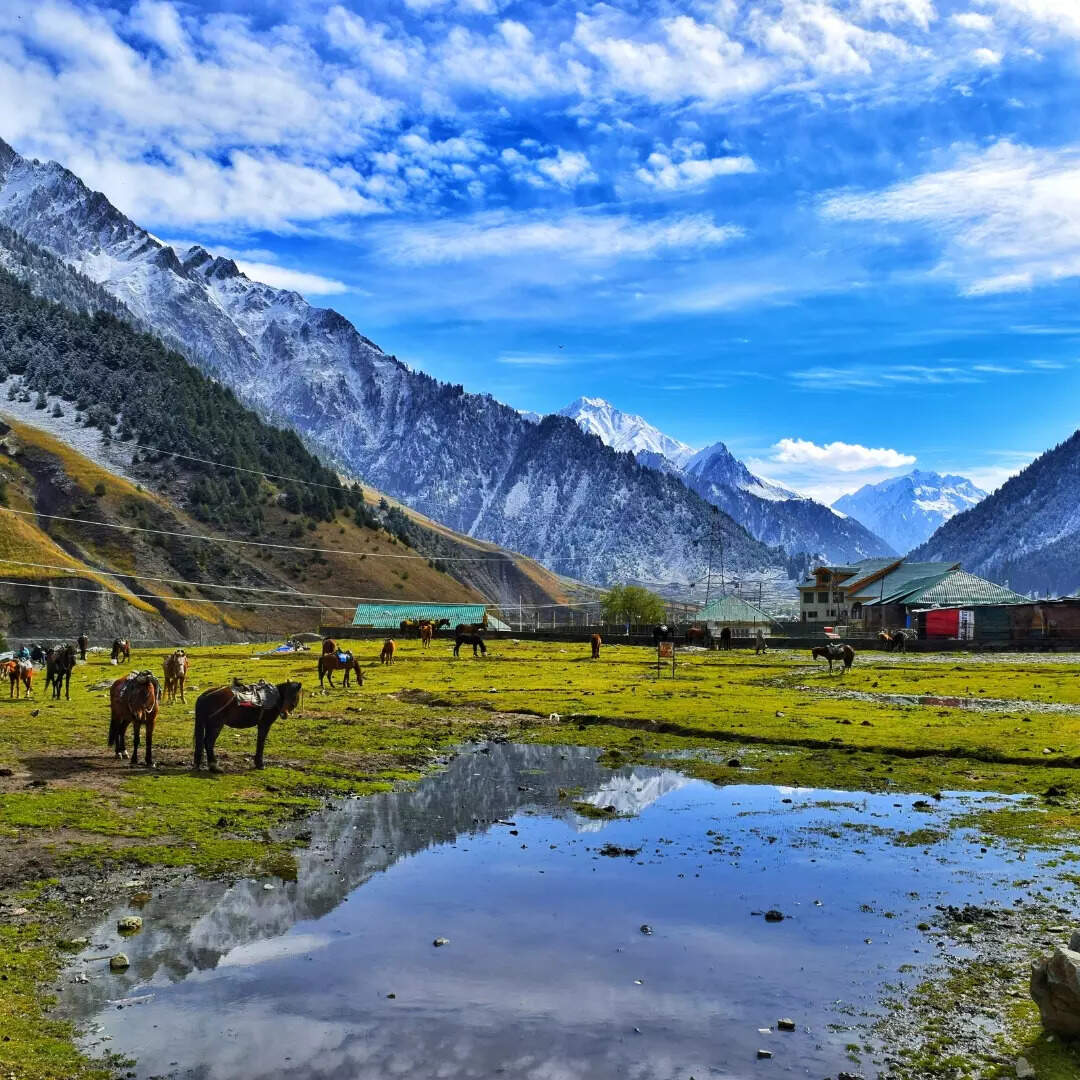 कैसे करें बुकिंग