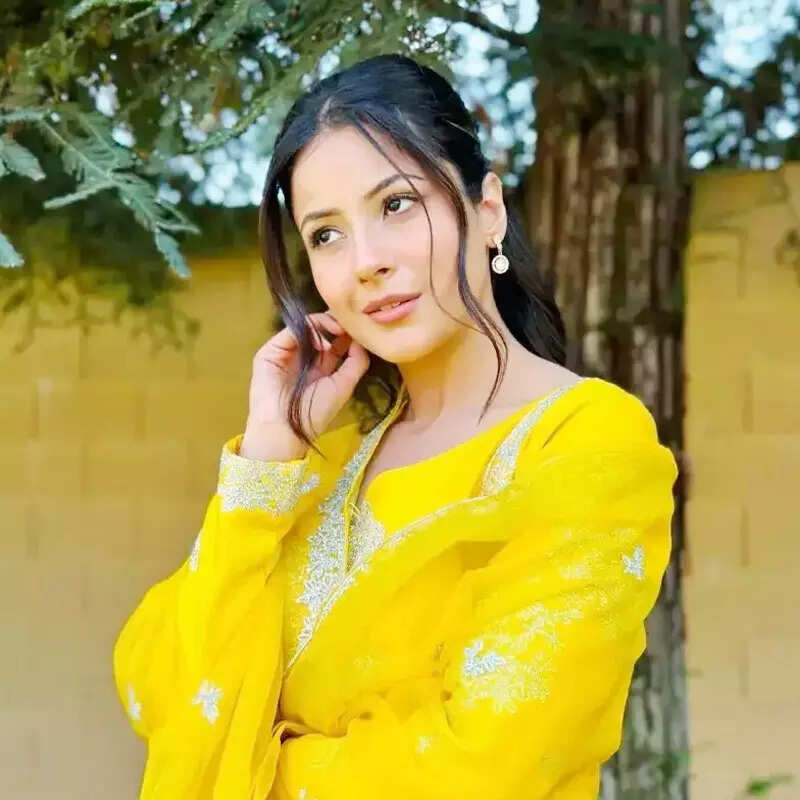 शहनाज गिल Shehnaaz Gill