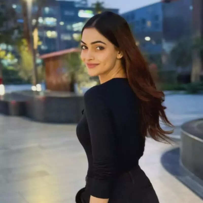 बीते 6 महीने से साथ हैं आमिर और अंकिता