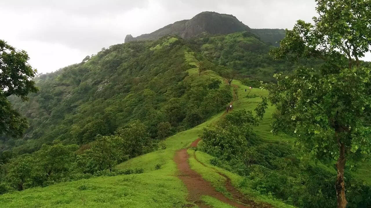क्यों की गई हड़ताल