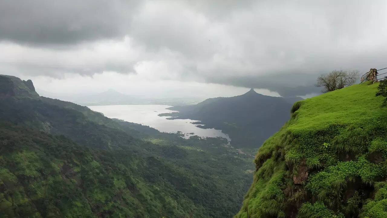 घोड़ा संचालकों की राय